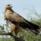 Дизайн Судьбы от Марины Соколовой.