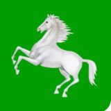 ORIGINAL TOMSK CHAT