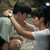 The Miracle of Teddy Bear