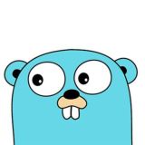 GOlang 🇷🇺 beginners