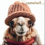 camelwif