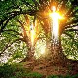 Ullis Gesundheits Einblick 🧘‍♀️💞🥦🍋🧄