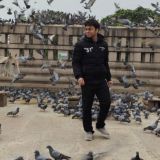 Purushottam Sir Costing Classes