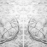 Здеся Сейчасов