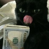 ЛУЧШАЯ РАБОТА КИЕВ