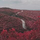 Хокку - хуёкку и капелька кендо