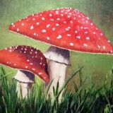Сила Мухомора в Правде