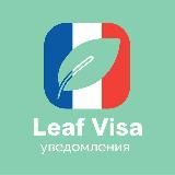 Бот для записи в визовый центр Франции | Уведомления Leaf Visa | VFS | ВЦ | Франция через бота