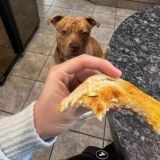 Toney_ferrell_fixed⚽️🦅