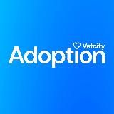 Vetcity Adoption