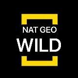 Nat Geo WILD