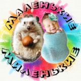 Маленькие, миленькие и очень смешные