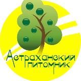 Астраханский питомник