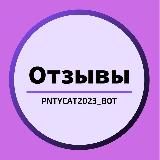 Отзывы PntyCatBot
