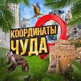 Природа обои на телефон