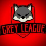 Raid: Grey League