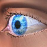 شبكة عين الناصرية للاخبار