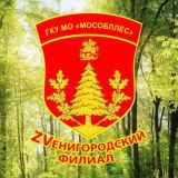 Чат Звенигородского лесничества