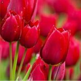 Zxzzzzz,🚶‍♂🚶‍♂🚶‍♂🚶‍♂