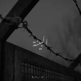 ясное знамение.