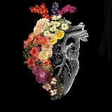 Кавказские песни❤️