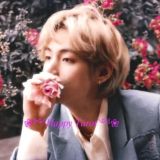 ❀༻𝐻𝑎𝑝𝑝𝑦 𝑇𝑎𝑟𝑜𝑡༺❀