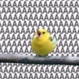 Дневник читателя