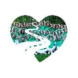 Зелёная улица - Детский лагерь в Новосибирске