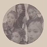 Рисунки для срисовки ☘