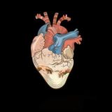 𝓐_𝓵𝓲𝓯𝓮_𝓼𝓽𝓸𝓻𝔂 ❤️