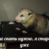 Бедное солнце😔 18+