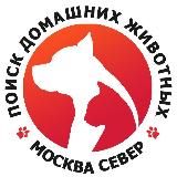 САО Мск | Поиск домашних животных