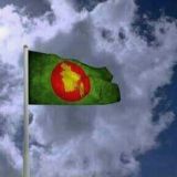 Investment Bot link share