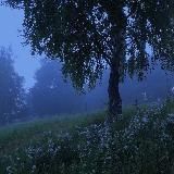 forever young and dreaming 🤍