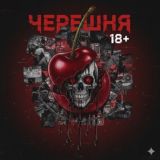 Черешня 18+🍒
