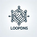 LoopDNS资讯播报