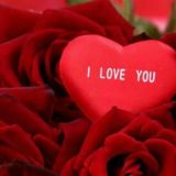 👑ĐÖŚŤŁÌĶ ÌĹÌ ŠËVĢÌ👑