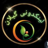 🏕 لینکدونی گیلان ️🏖