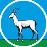 Говорит Самара