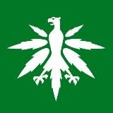 DHV - Hanfverband News