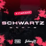 SCHWARTZ STORE