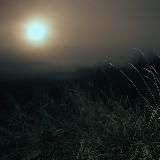 ꌚꈼꈼ꒒ꈼꋊꌅꐇꍩꈼ