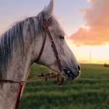 𝐓𝐄𝐍𝐃𝐄𝐑𝐍𝐄𝐒𝐒...🤍