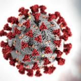 StopCoronavirus. День Первый