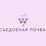 Съедобная почва