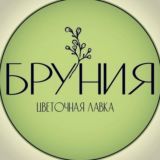 Бруния | Цветы | Волгоград