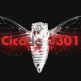 cicada 3301
