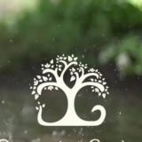 Катерина Резник._чат_комментарии Декоративный сад.