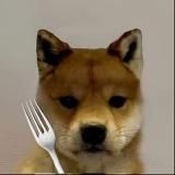 DogWifFork $FORK