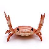 Держи краба 🦀